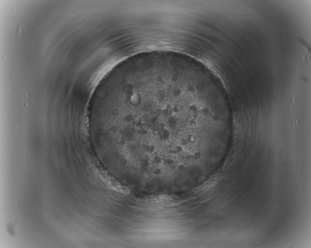 X0000102220879200808011200