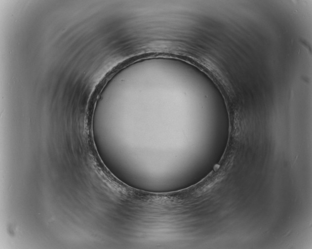 X0000102220880200808011200