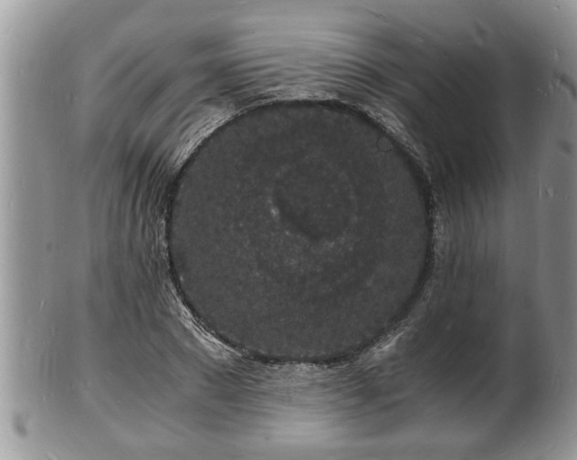 X0000102220881200808011200