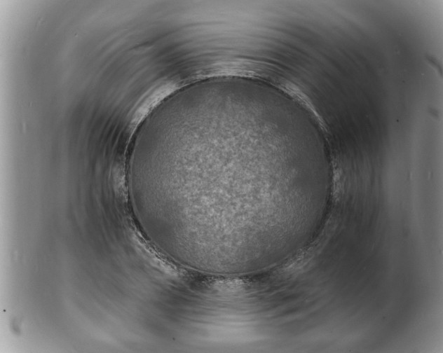 X0000102220882200808011200