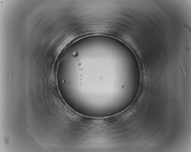 X0000102220883200808011200