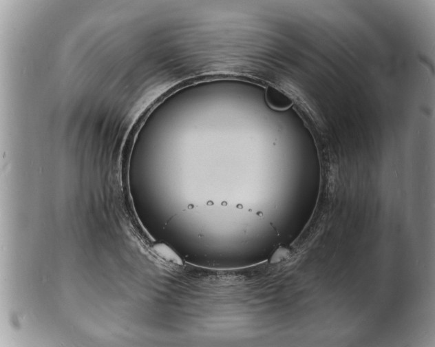 X0000102220884200808011200