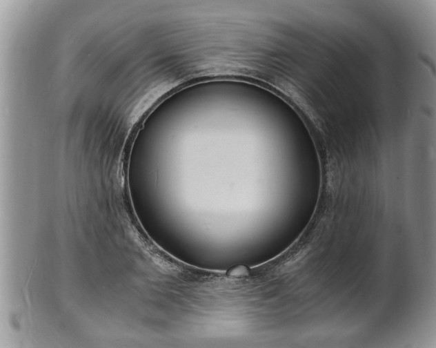 X0000102220885200808011200