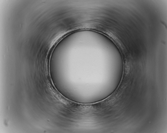 X0000102220886200808011200