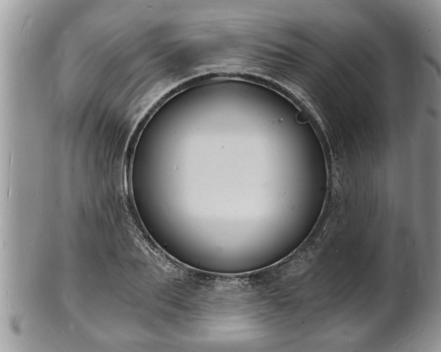 X0000102220887200808011159