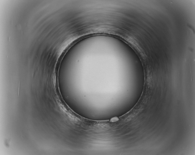 X0000102220888200808011159