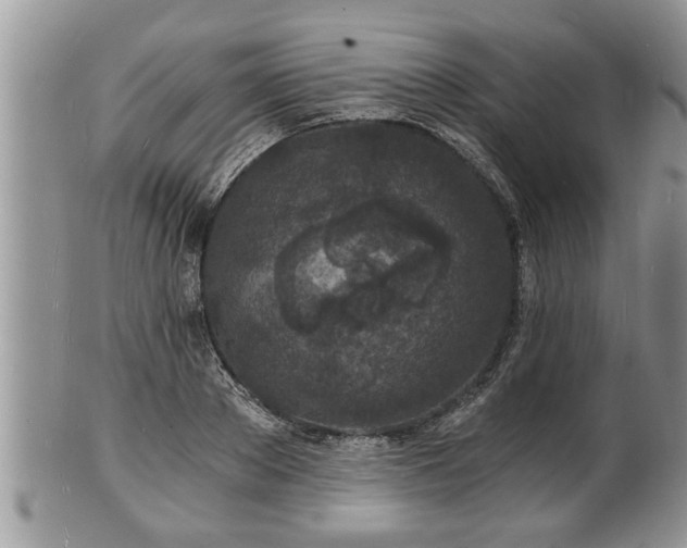 X0000102220889200808011159