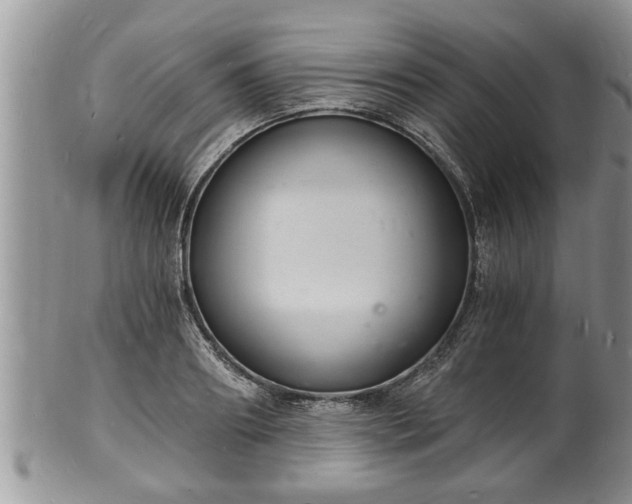 X0000102220890200808011159