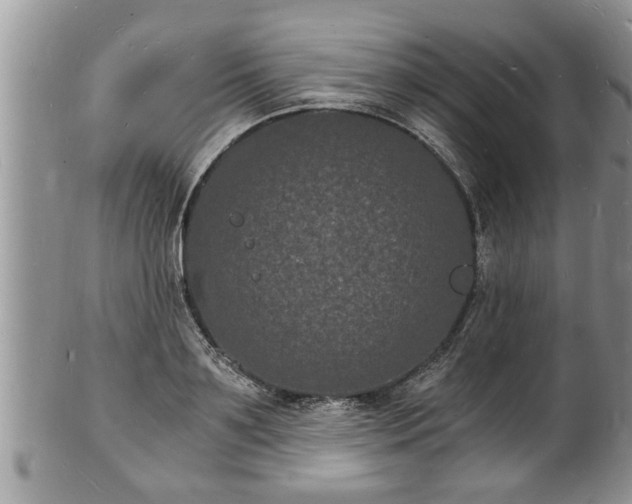 X0000102220891200808011159