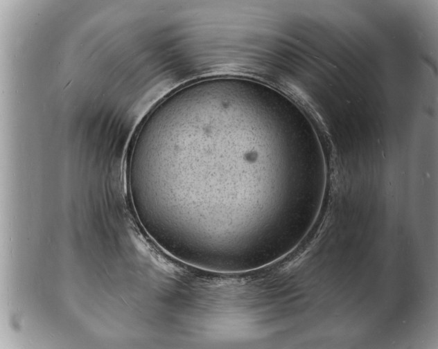 X0000102220892200808011159