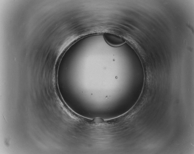 X0000102220894200808011159