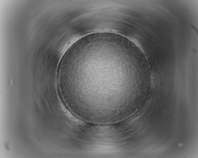 X0000102220895200808011159