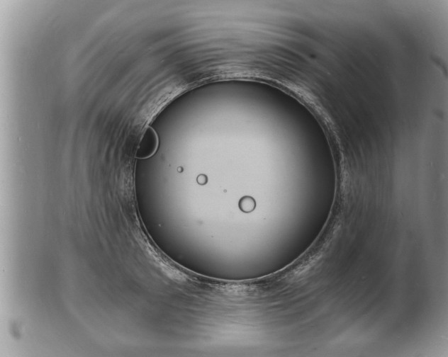 X0000102220897200808011159