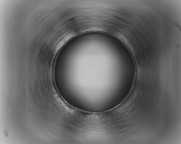 X0000102220898200808011159