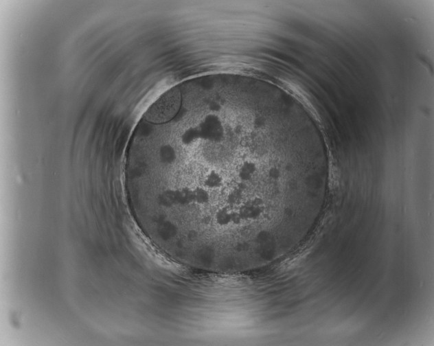 X0000102220899200808011159