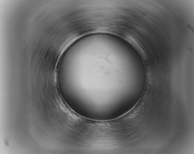 X0000102220900200808011159