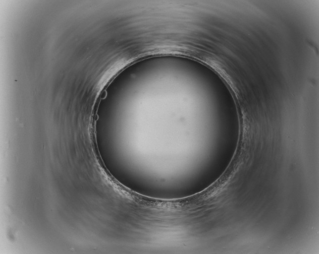 X0000102220901200808011159