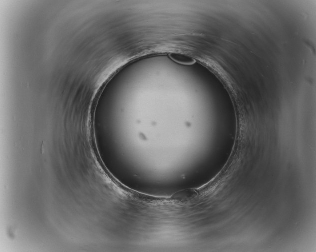 X0000102220902200808011159