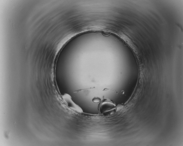 X0000102220904200808011159