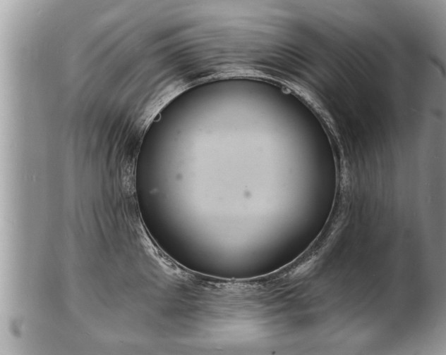 X0000102220905200808011159