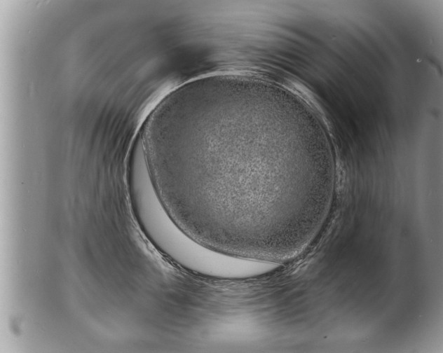 X0000102220907200808011159