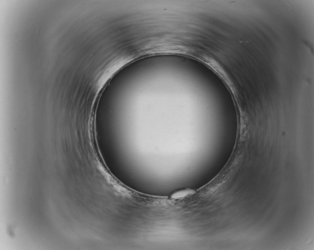 X0000102220909200808011159