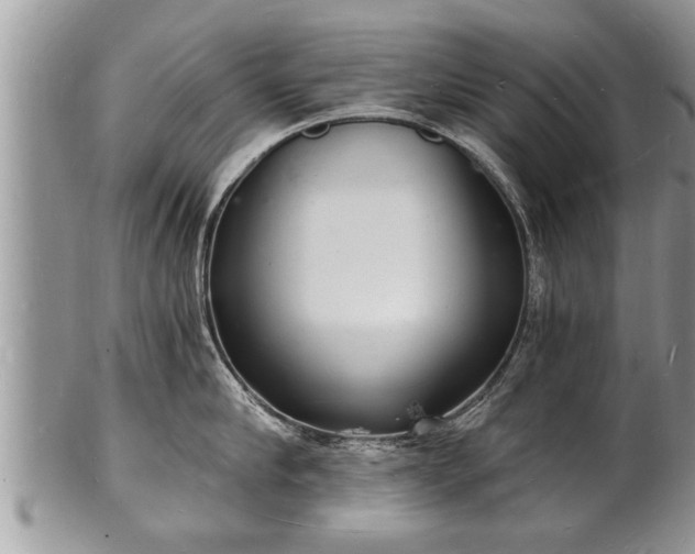 X0000102220910200808011159