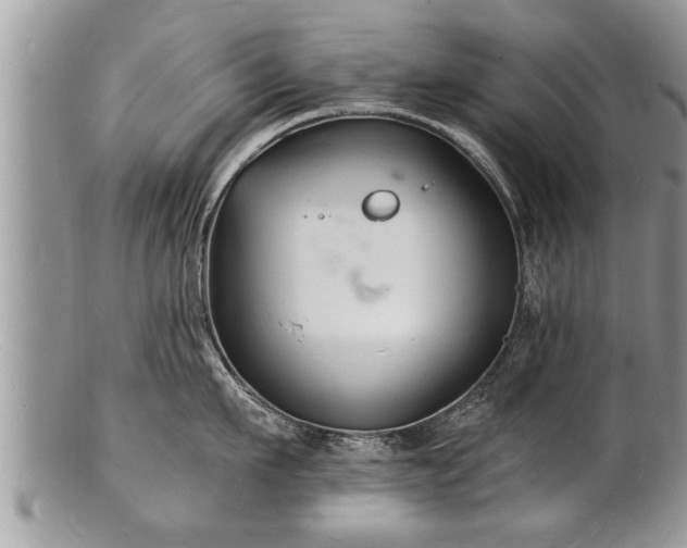 X0000102220911200808011159