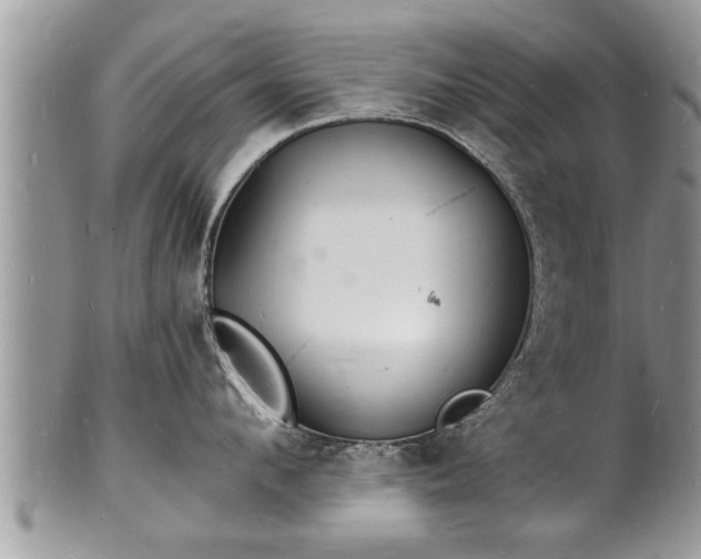 X0000102220912200808011159