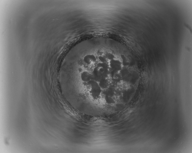 X0000102220913200808011158