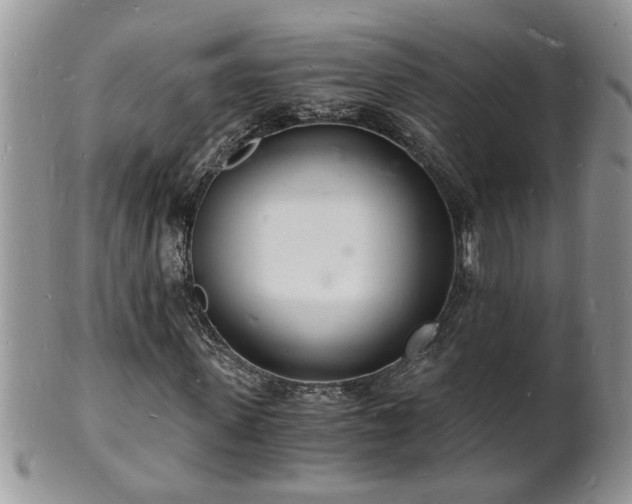 X0000102220915200808011159