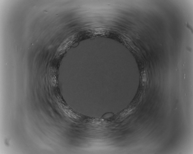 X0000102220916200808011159