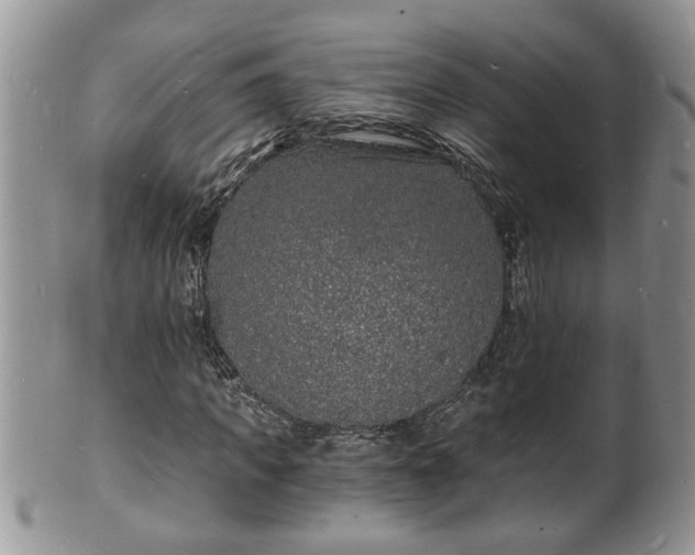 X0000102220917200808011159