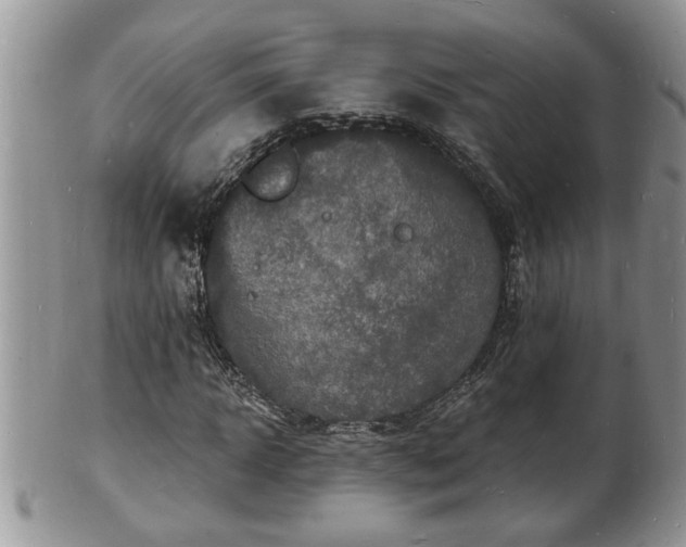 X0000102220918200808011159