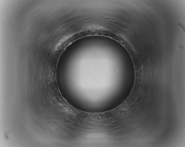 X0000102220919200808011159