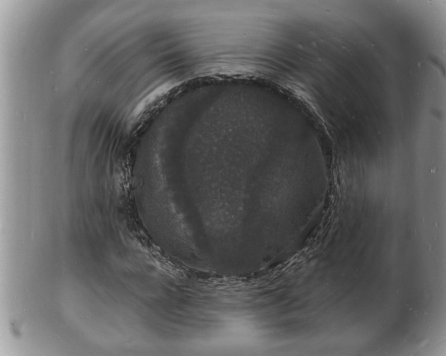 X0000102220920200808011159