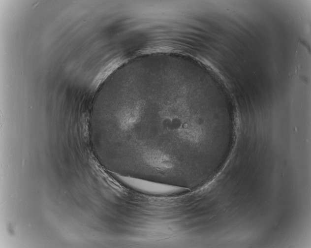 X0000102220921200808011159