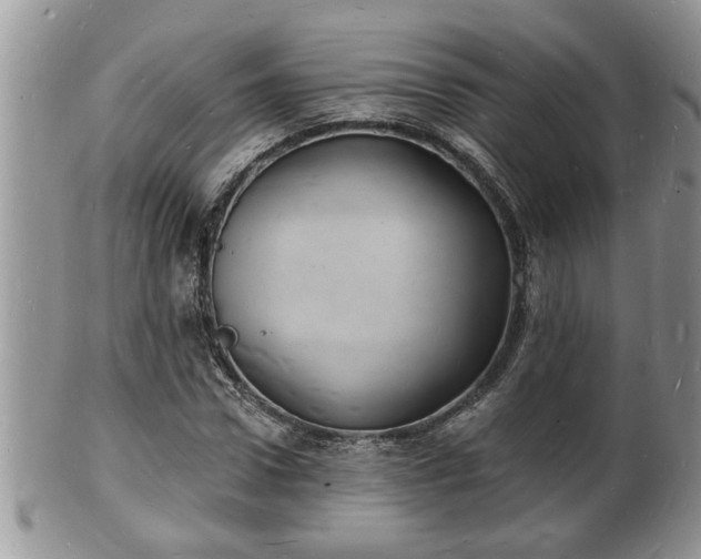 X0000102220922200808011159