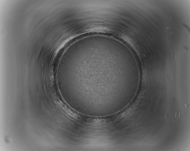 X0000102220923200808011159