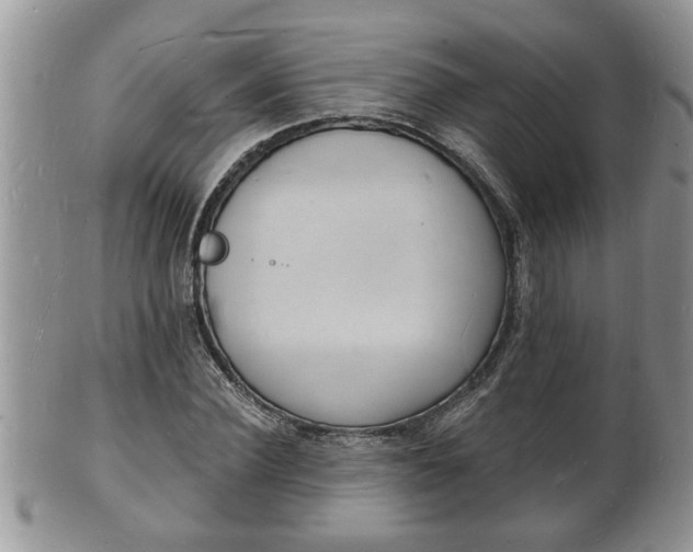 X0000102220924200808011159