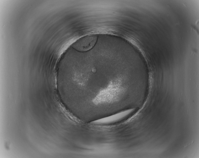 X0000102220925200808011159