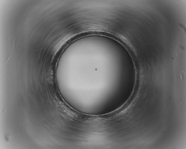 X0000102220926200808011159