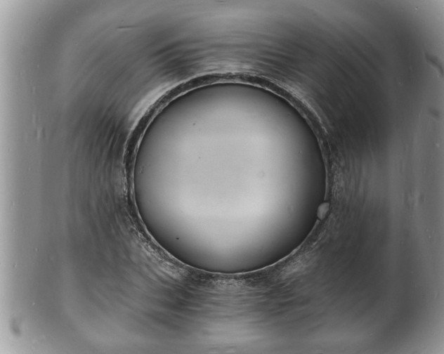 X0000102220927200808011159