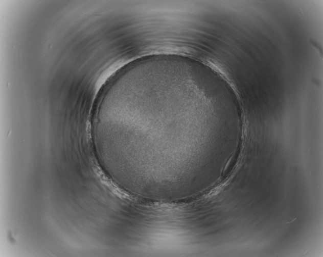 X0000102220928200808011159