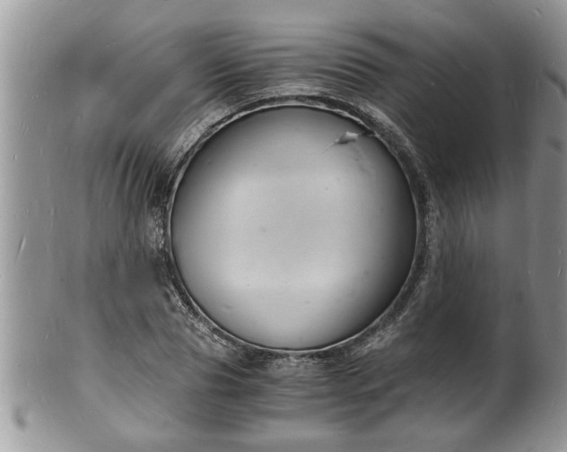 X0000102220929200808011159