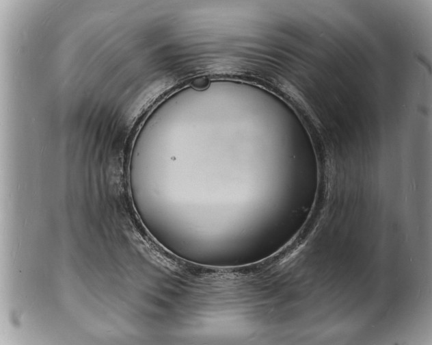 X0000102220930200808011159