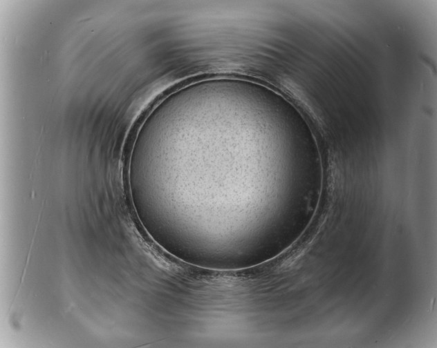 X0000102220932200808011159