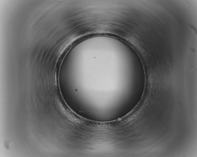 X0000102220934200808011159