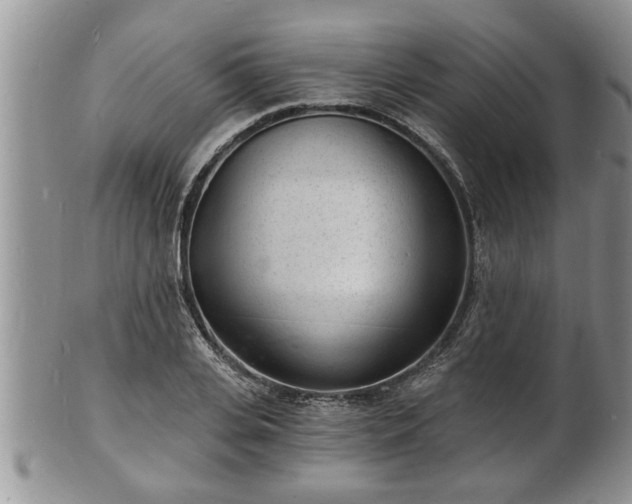 X0000102220935200808011159