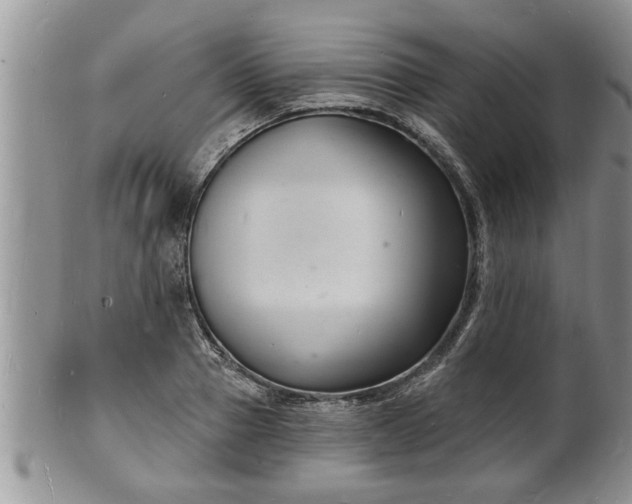 X0000102220937200808011159